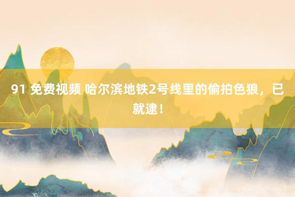 91 免费视频 哈尔滨地铁2号线里的偷拍色狼，已就逮！
