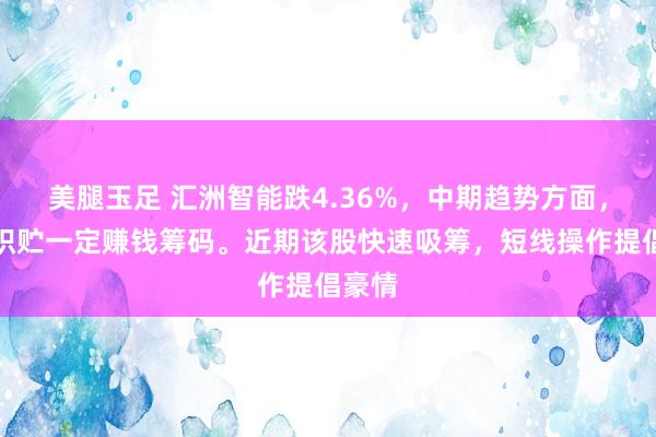 美腿玉足 汇洲智能跌4.36%，中期趋势方面，下方积贮一定赚钱筹码。近期该股快速吸筹，短线操作提倡豪情