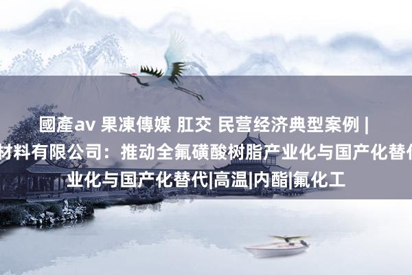 國產av 果凍傳媒 肛交 民营经济典型案例 | 福建科润世纪氢能材料有限公司：推动全氟磺酸树脂产业化与国产化替代|高温|内酯|氟化工
