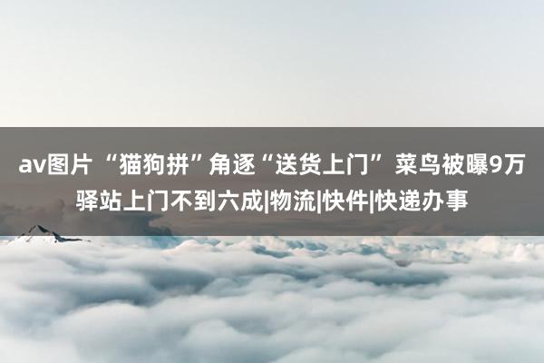 av图片 “猫狗拼”角逐“送货上门” 菜鸟被曝9万驿站上门不到六成|物流|快件|快递办事