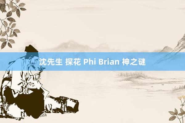 沈先生 探花 Phi Brian 神之谜