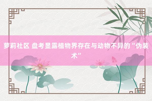 萝莉社区 盘考显露植物界存在与动物不异的“伪装术”
