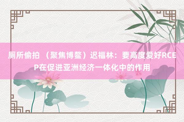 厕所偷拍 （聚焦博鳌）迟福林：要高度爱好RCEP在促进亚洲经济一体化中的作用