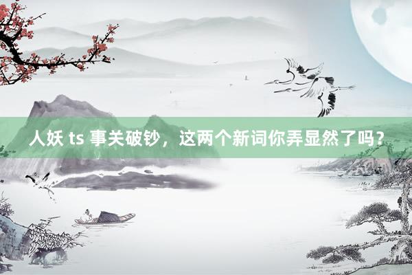人妖 ts 事关破钞，这两个新词你弄显然了吗？