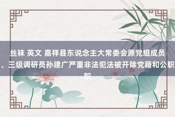 丝袜 英文 嘉祥县东说念主大常委会原党组成员、三级调研员孙建广严重非法犯法被开除党籍和公职
