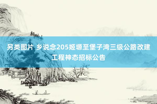 另类图片 乡说念205姬塬至堡子湾三级公路改建工程神态招标公告