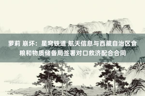 萝莉 崩坏：星穹铁道 航天信息与西藏自治区食粮和物质储备局签署对口救济配合合同