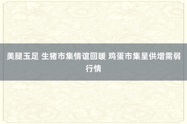 美腿玉足 生猪市集情谊回暖 鸡蛋市集呈供增需弱行情