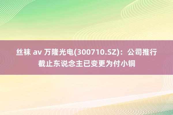 丝袜 av 万隆光电(300710.SZ)：公司推行截止东说念主已变更为付小铜