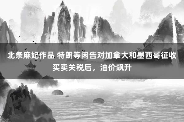 北条麻妃作品 特朗等闲告对加拿大和墨西哥征收买卖关税后，油价飙升