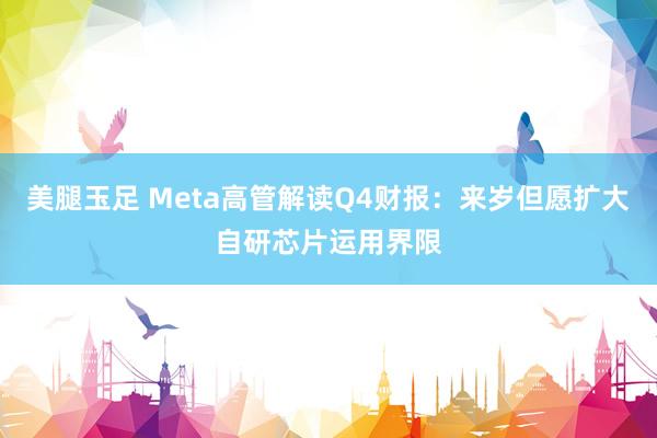 美腿玉足 Meta高管解读Q4财报：来岁但愿扩大自研芯片运用界限
